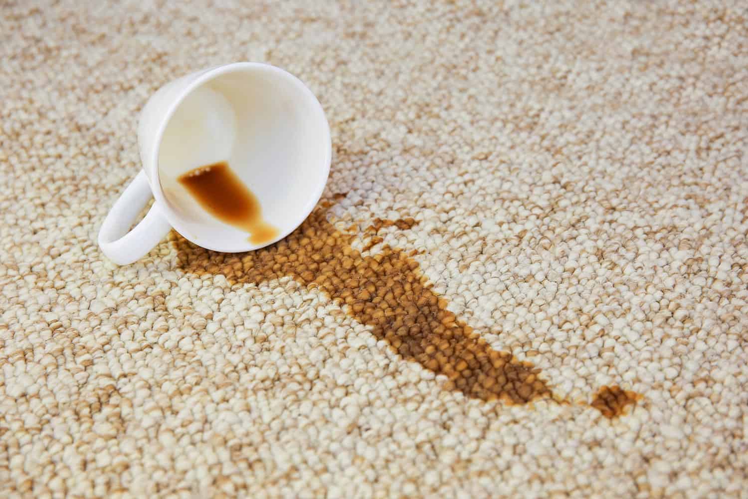 Cup of coffee fell on carpet
