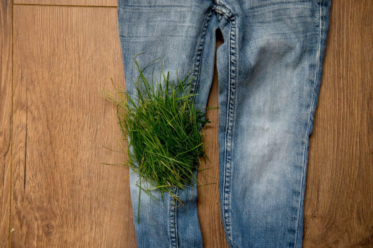 Green grass on jeans on wooden floor. Grass stains on kids jeans.