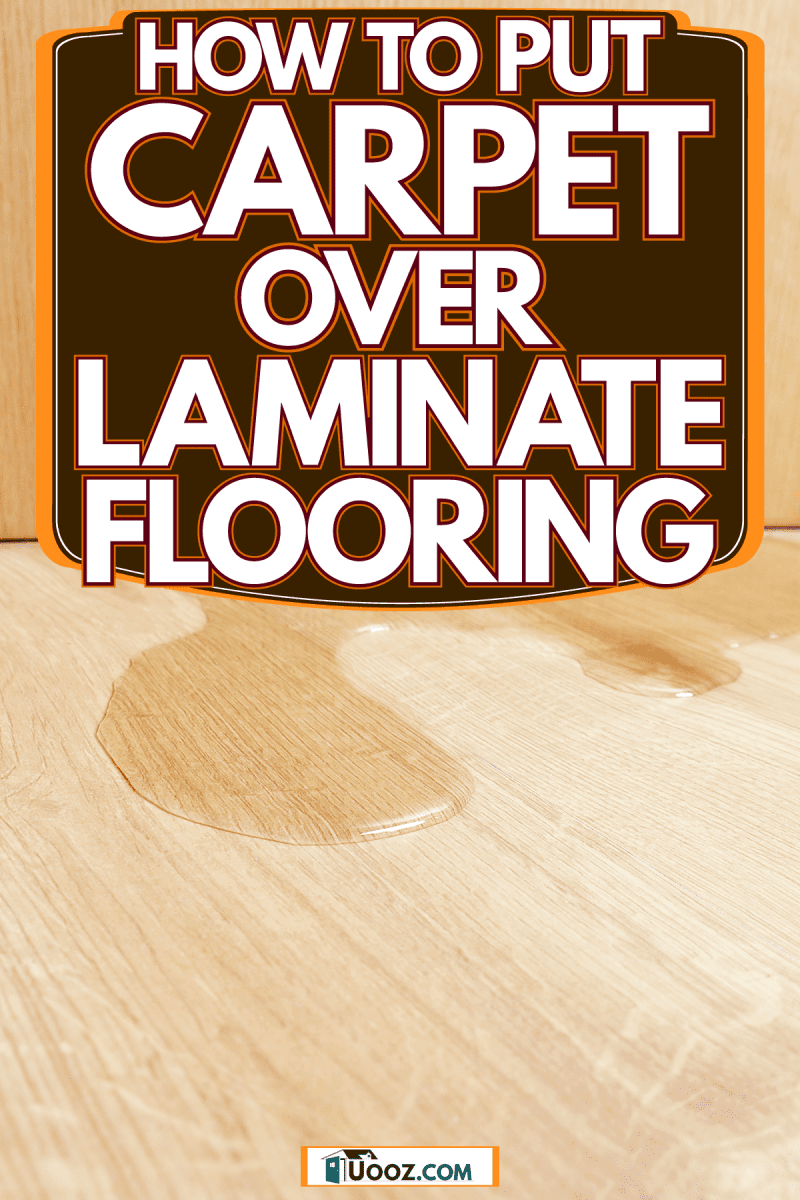 Water caused by moisture leaking throughout the living room, How To Put Carpet Over Laminate Flooring