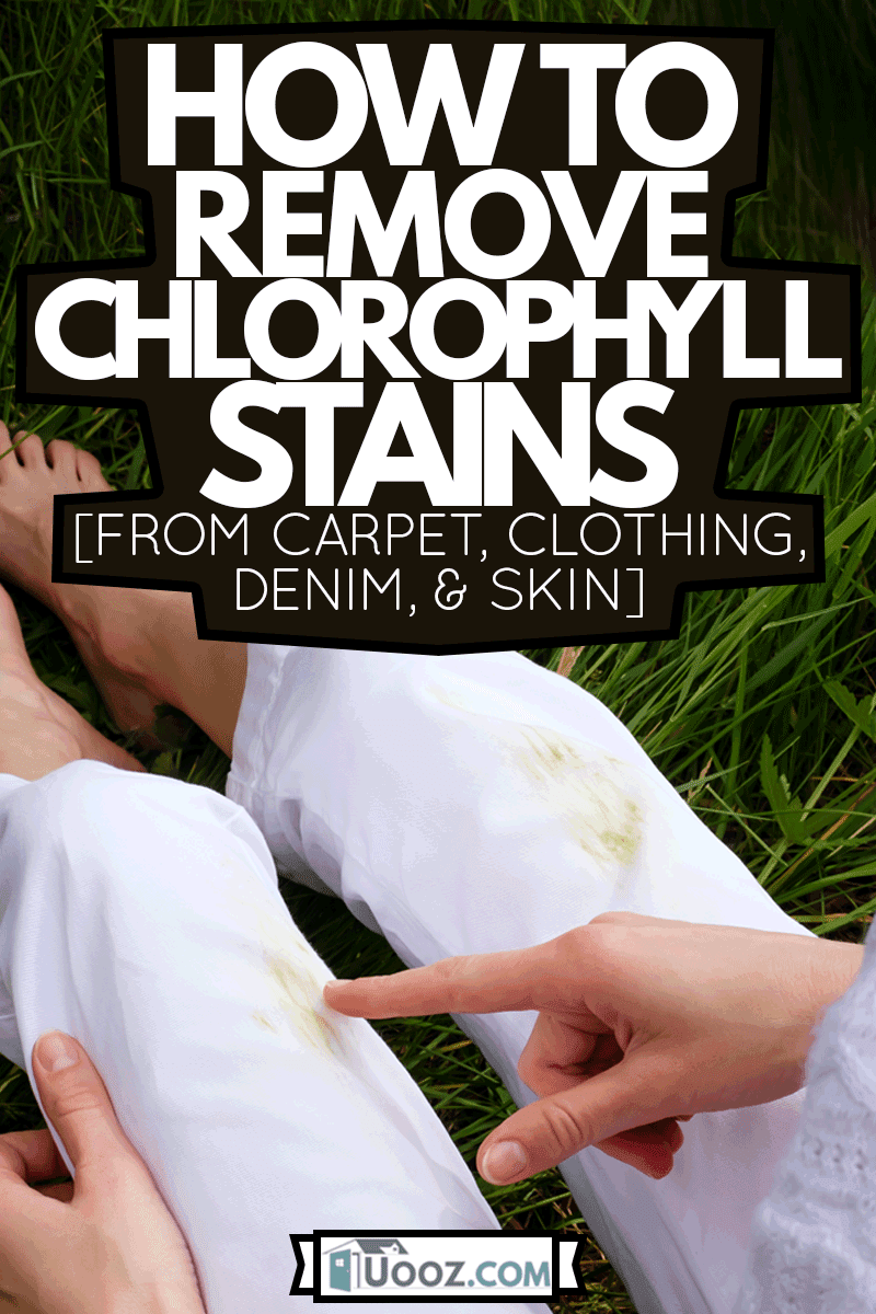 Female hand finding fresh grass stains from washable fabrics, How To Remove Chlorophyll Stains [From Carpet, Clothing, Denim, & Skin ]