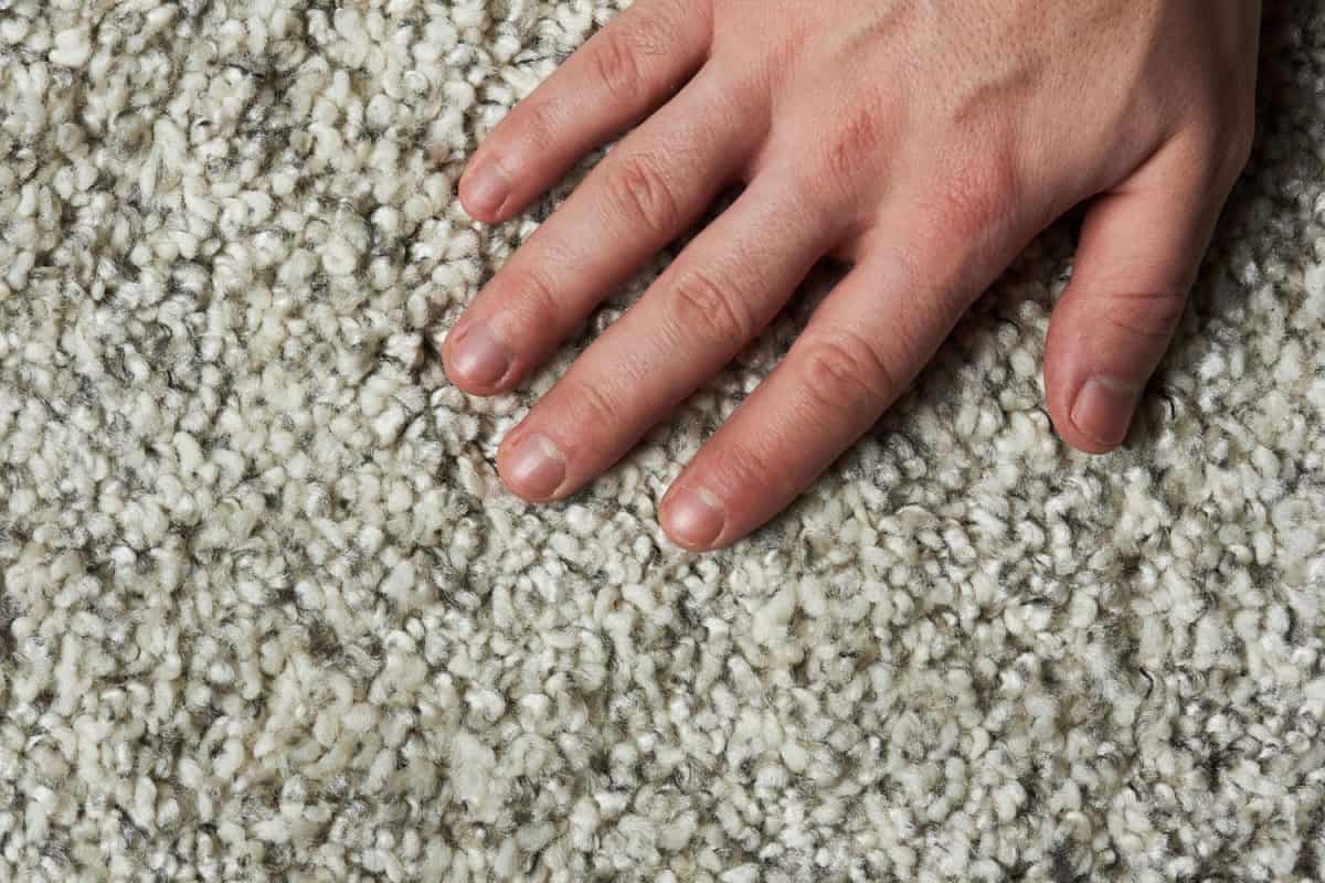 Man touching and feeling the living room carpet, Crunchy Carpet? Here's What To Do