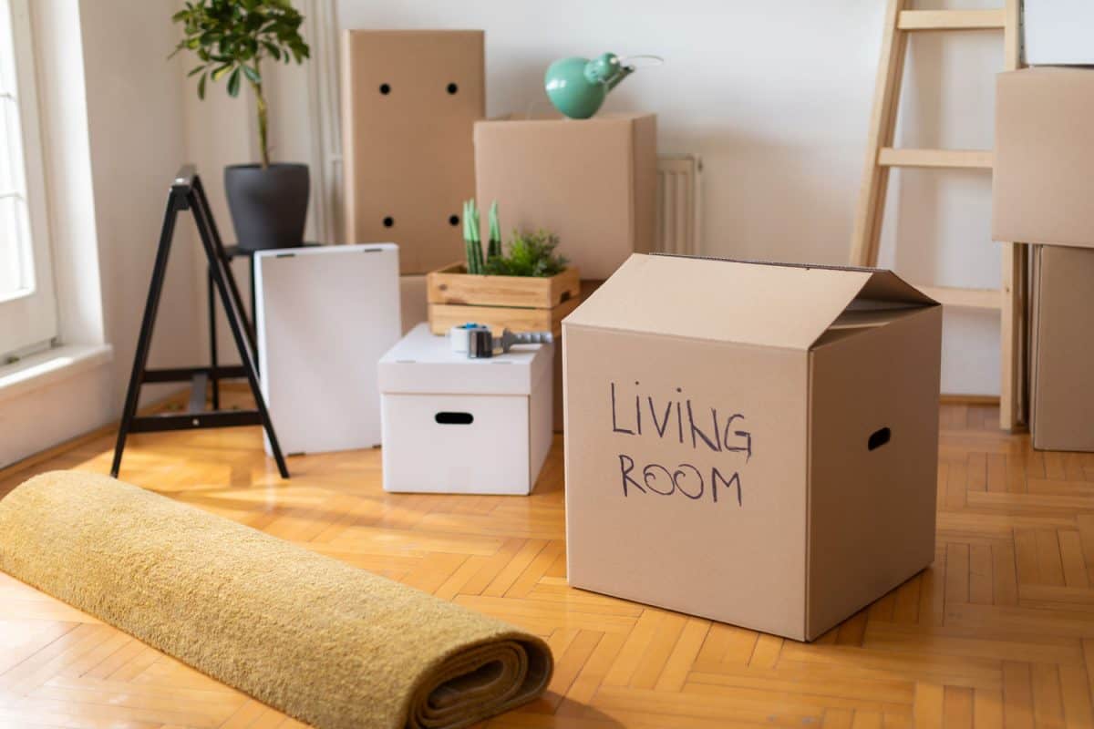 Moving boxes scattered in the living room with a rolled carpet pile on the side