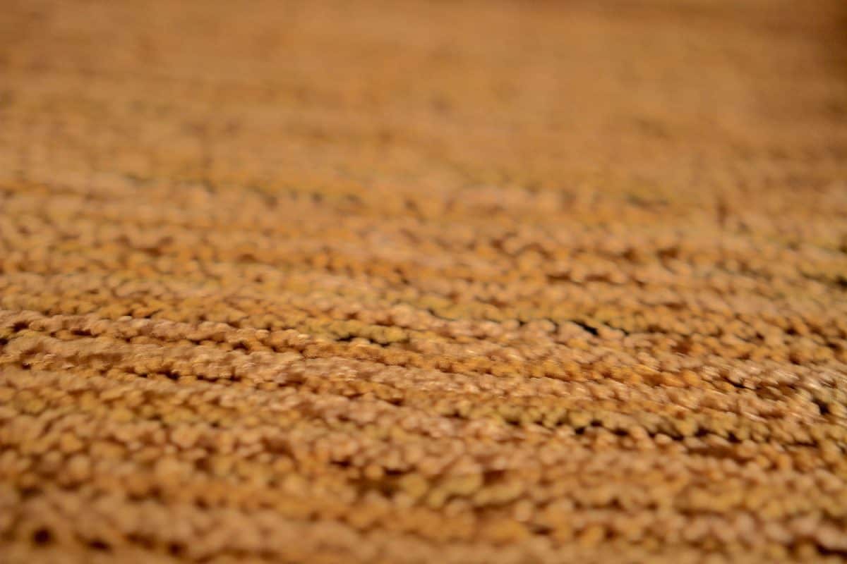 Part of a colour berber rug or tight woven carpet