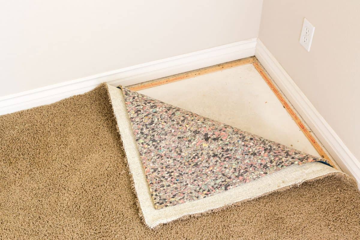 Removing carpet in the living room floor