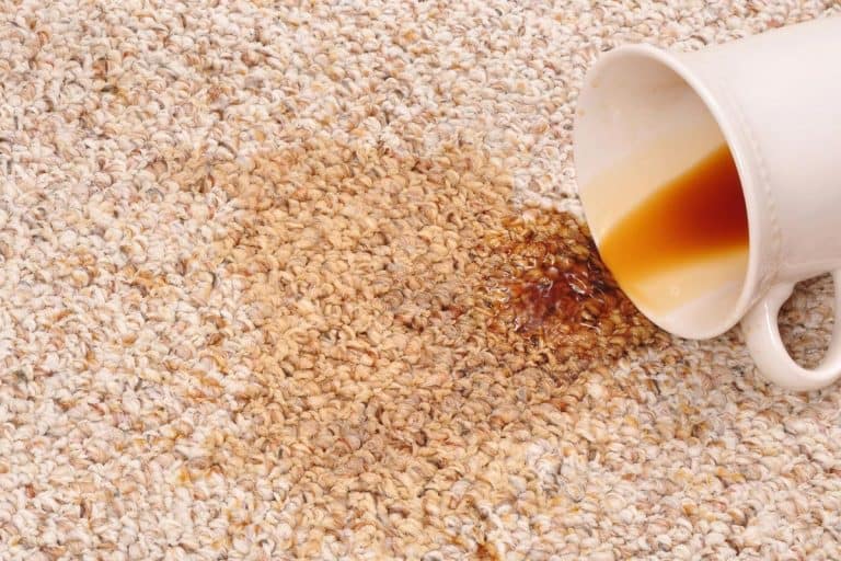 Spilled coffee on the carpet, How To Remove Coffee Stains From Carpet With An Iron