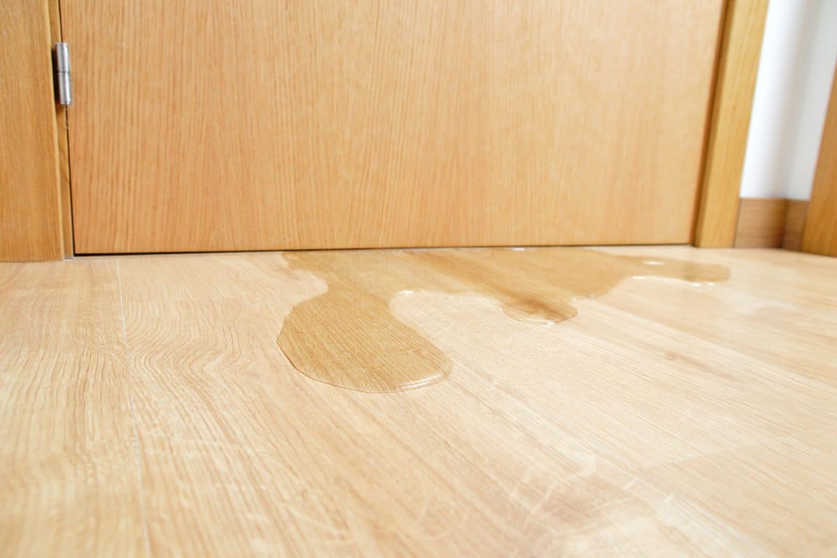 Water caused by moisture leaking throughout the living room, How To Put Carpet Over Laminate Flooring