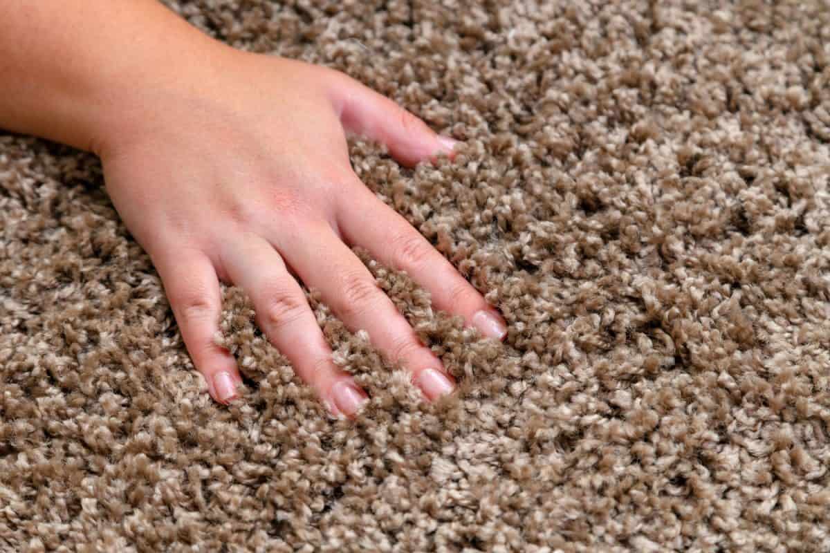 Woman feeling her brown carpet