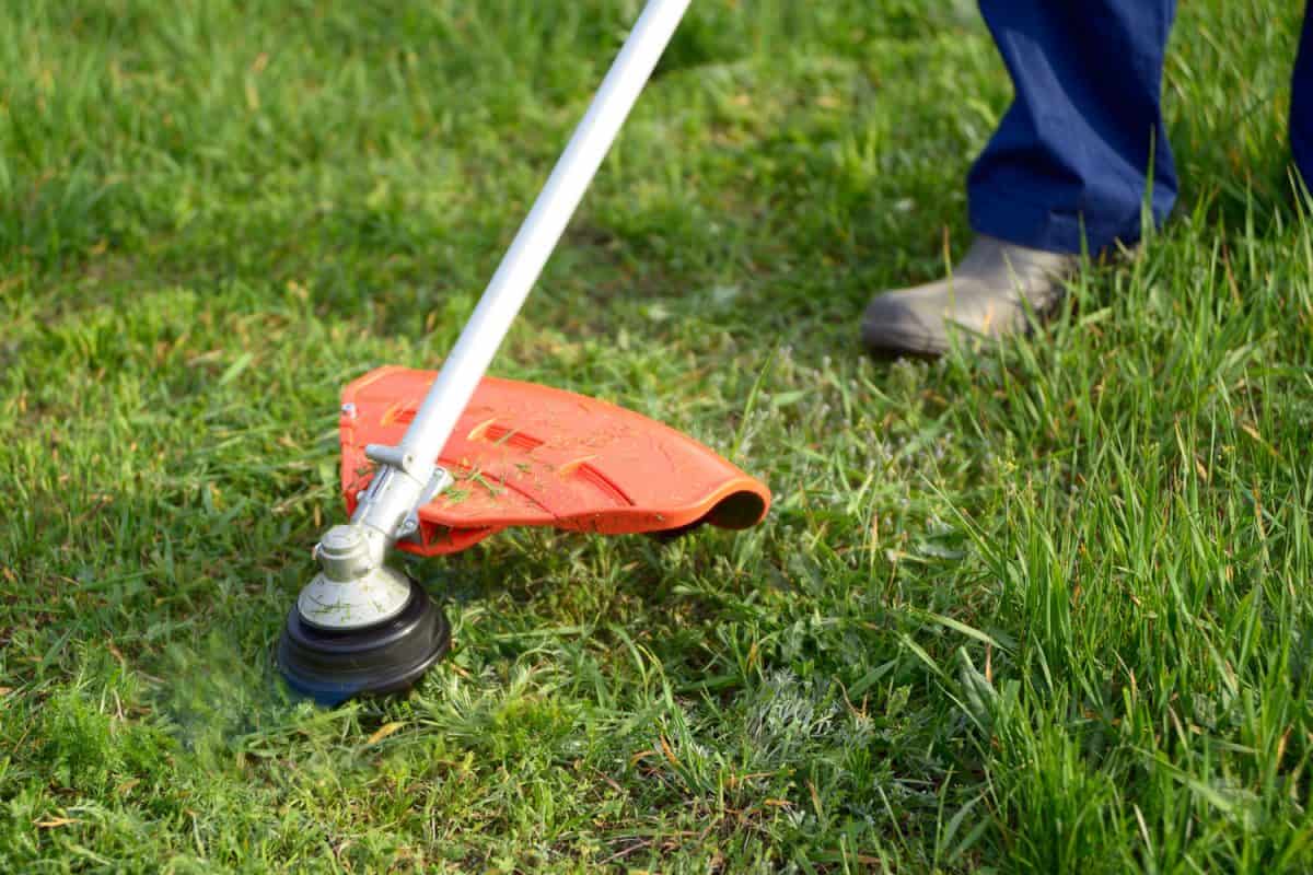 Worker using a grass trimmer for the backyard lawn
