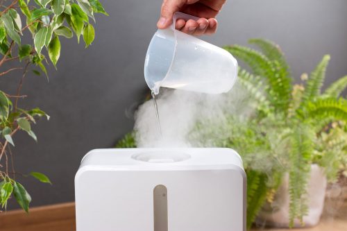 Read more about the article Best Distilled Water for Humidifiers