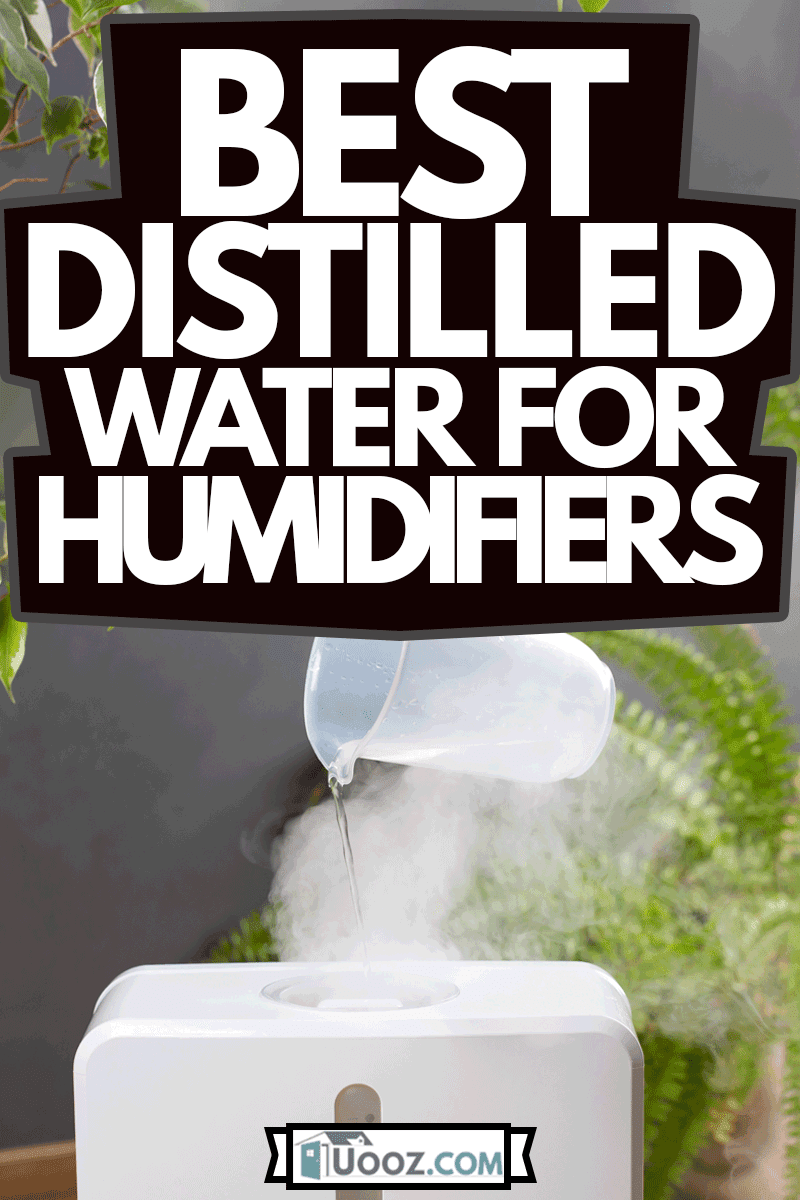 A man uses a humidifier at home. Filling the reservoir with water, Best Distilled Water for Humidifiers
