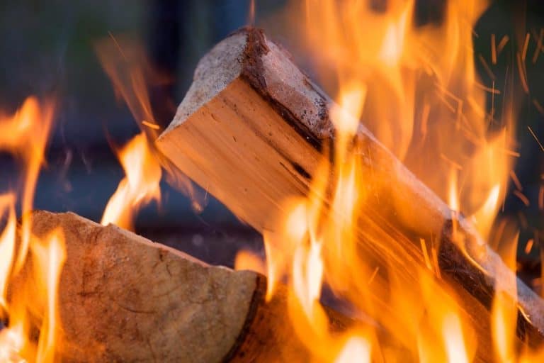 A burning piece of wood, What Type Of Firewood Burns The Slowest?