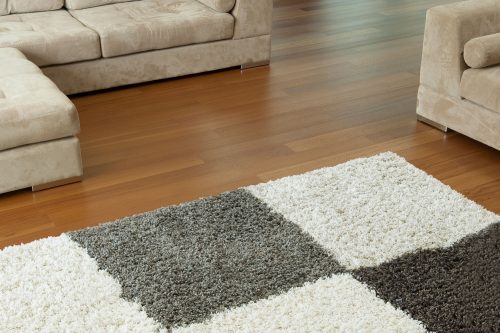 Read more about the article What To Put Under A Rug That’s On Carpet [5 Suggestions]