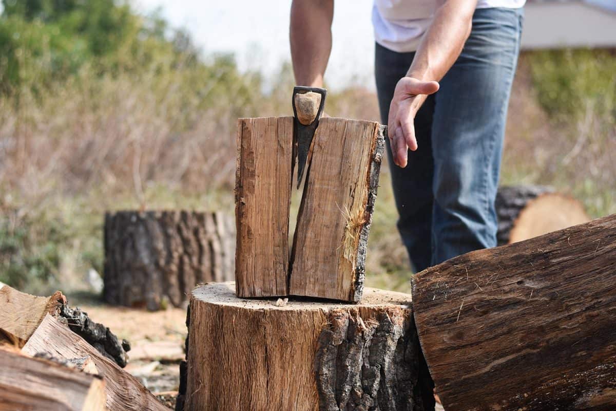 Lumberjack chopping wood for winter