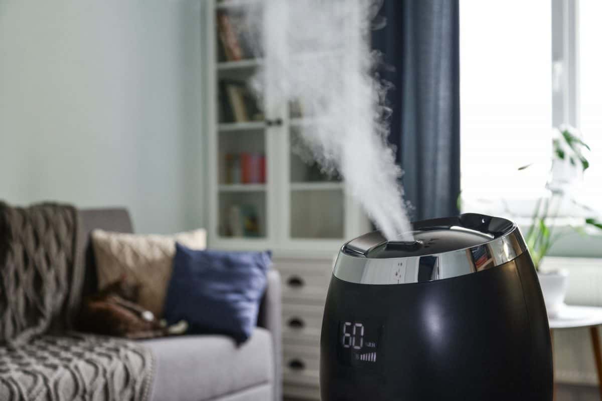 Ultrasonic cool mist humidifier for home on a small table in living room