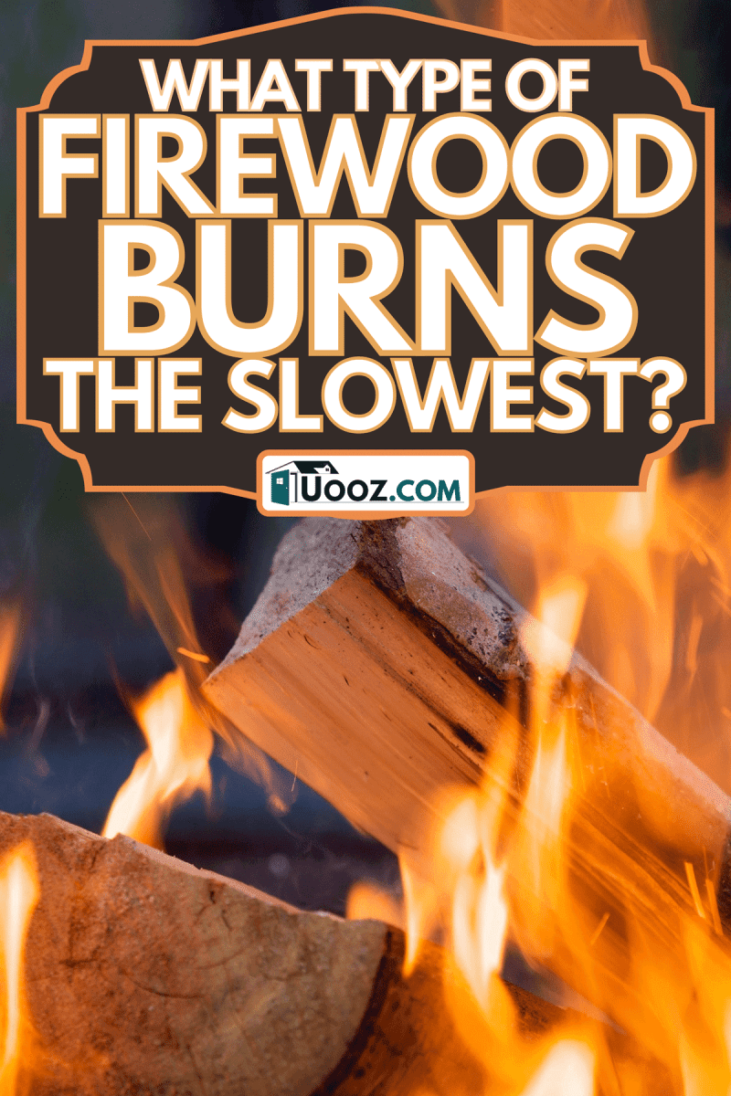 Burning piece of wood, What Type Of Firewood Burns The Slowest?