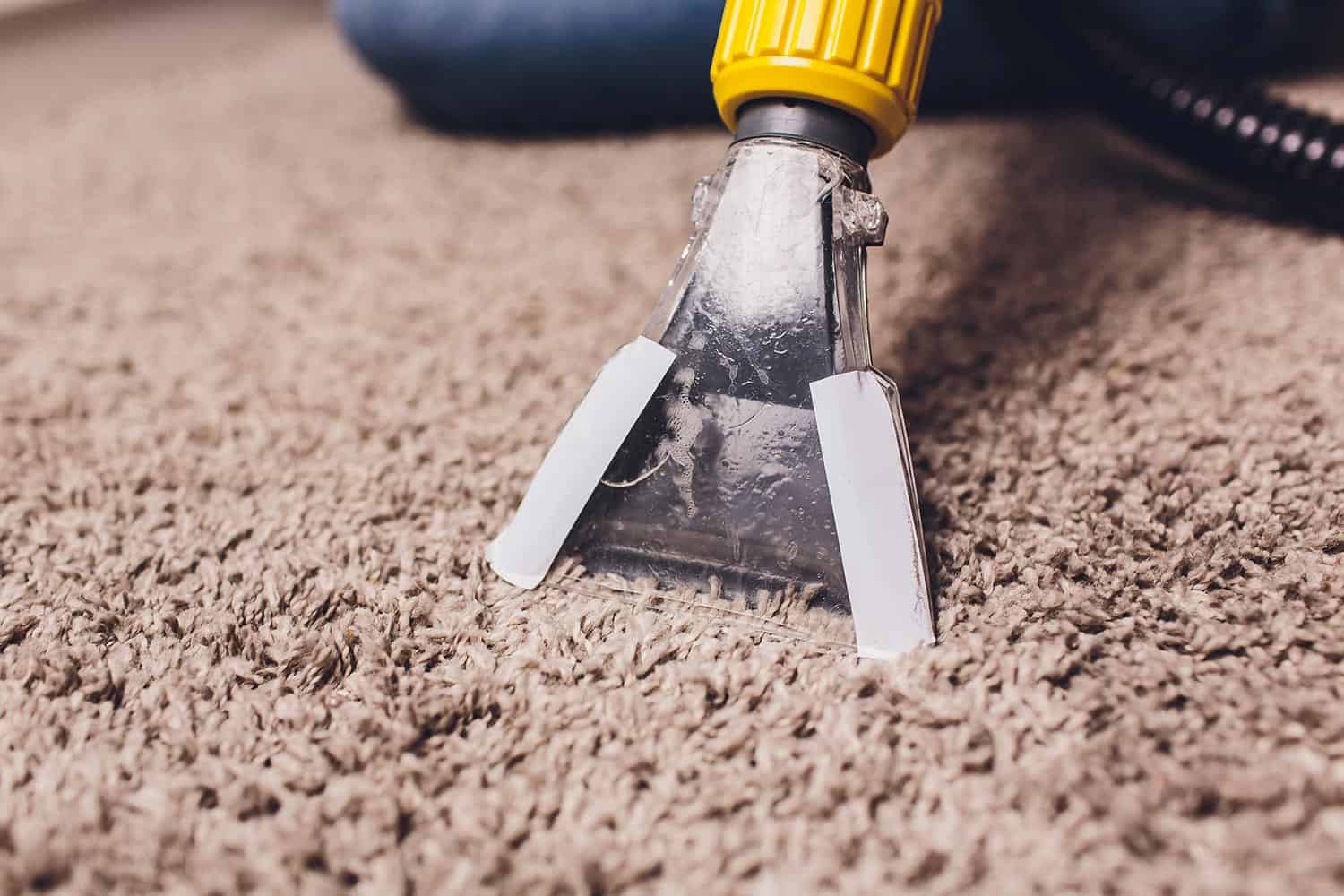 Woman removing dirt from carpet with vacuum cleaner in room