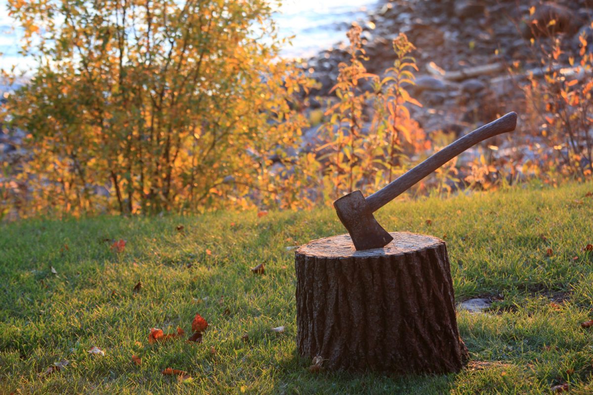 A wooden handled axe left on the tree