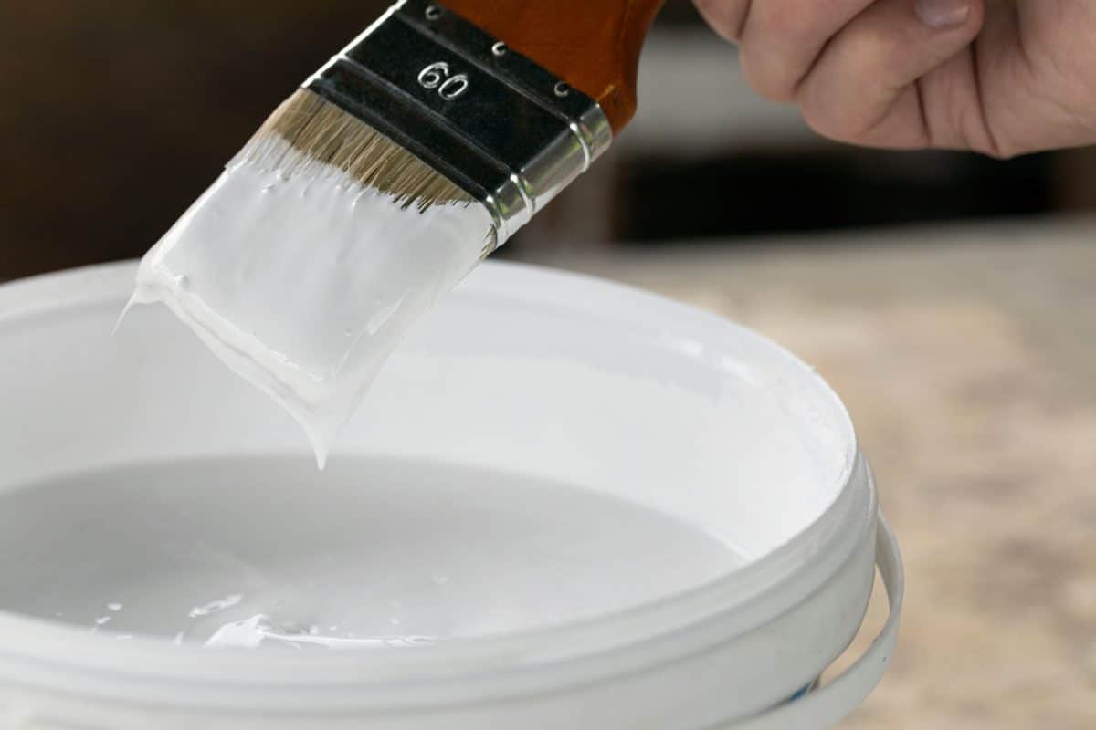Dipping paint brush into white paint