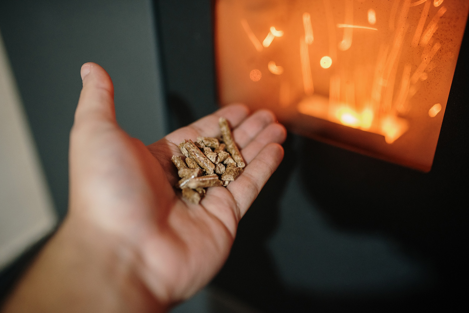  Human hand holding biomass pellets by a fireplace