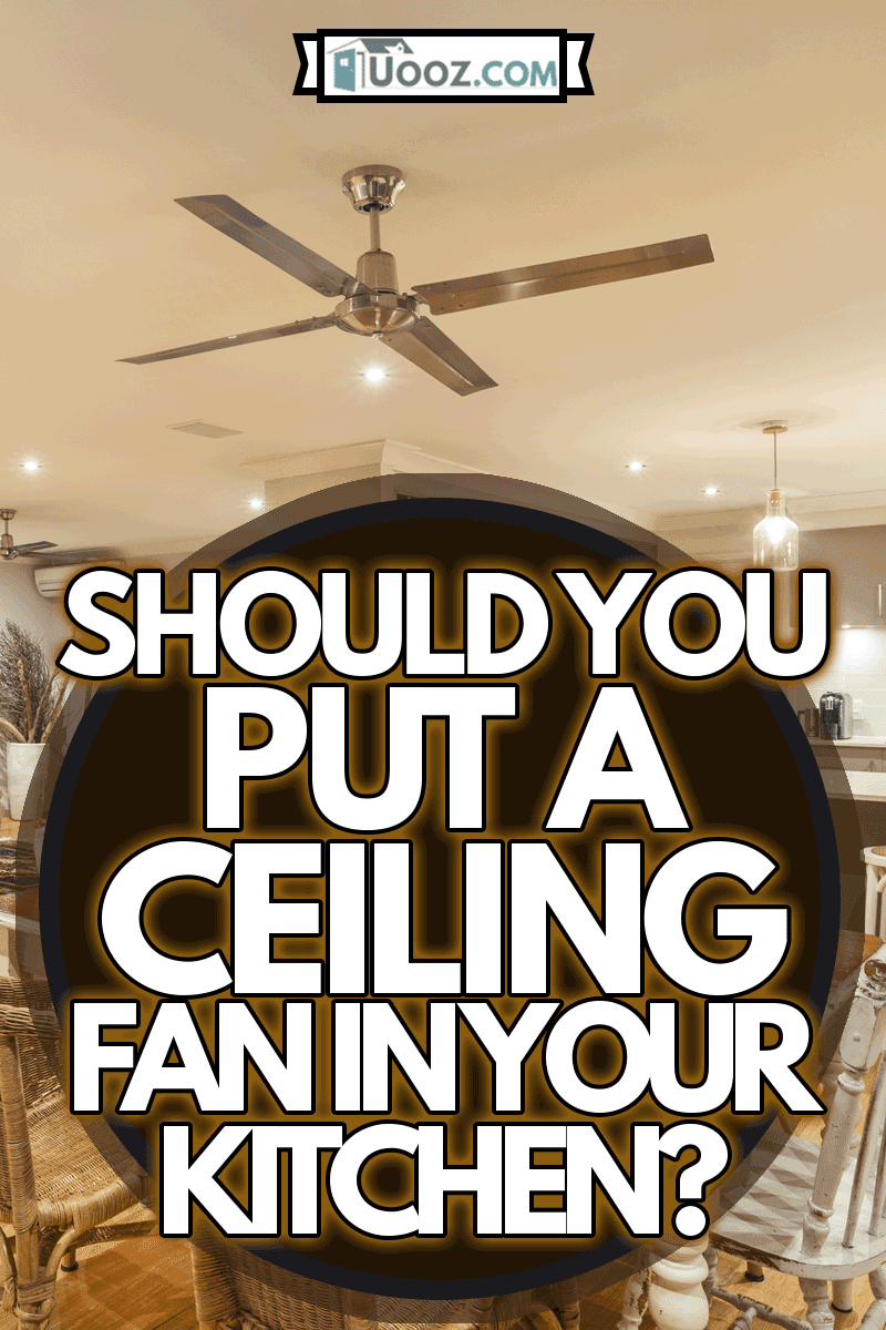 Stylish home interior with kitchen, dining and living room, Should You Put A Ceiling Fan In Your Kitchen?