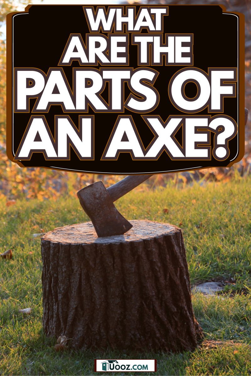 A wooden handled axe left on the tree, What Are The Parts Of An Axe?