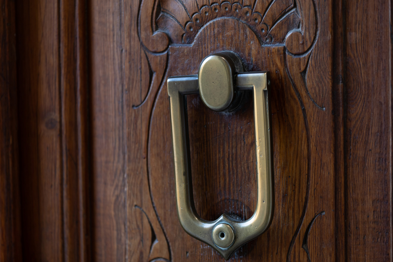 Wooden door with , stainless door knob or handle
