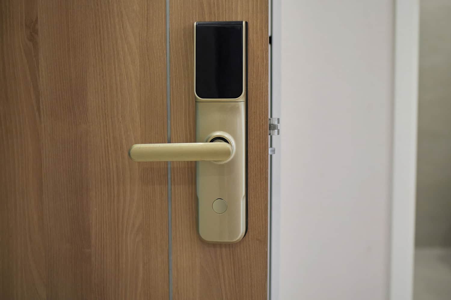 Digital door lock security systems for good safety of apartment door. Electronic door handle with key pads numbers.