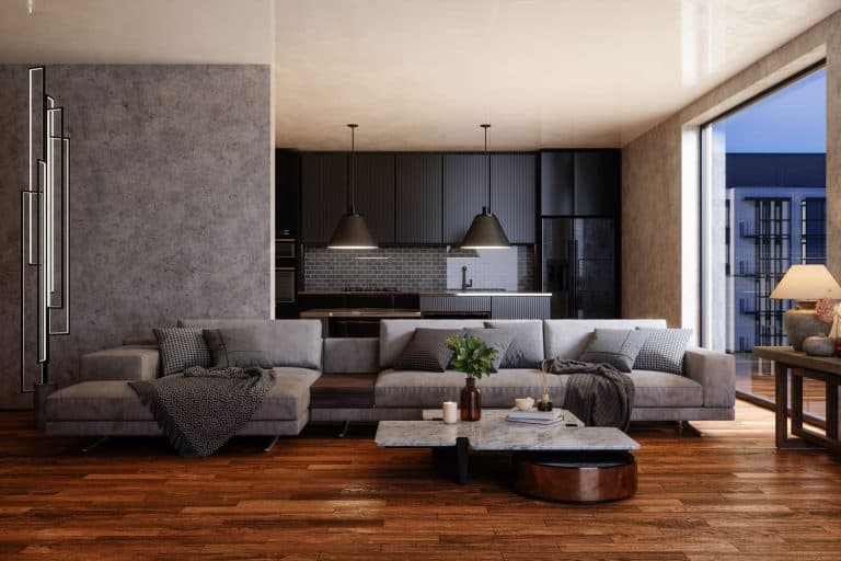 Interior of a gorgeous modern open space living area, What Color Furniture Goes With Dark Wood Flooring?