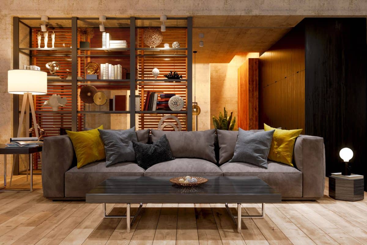 Modern rustic inspired living room with a gray sofa, skeletal divider area and a black coffee table