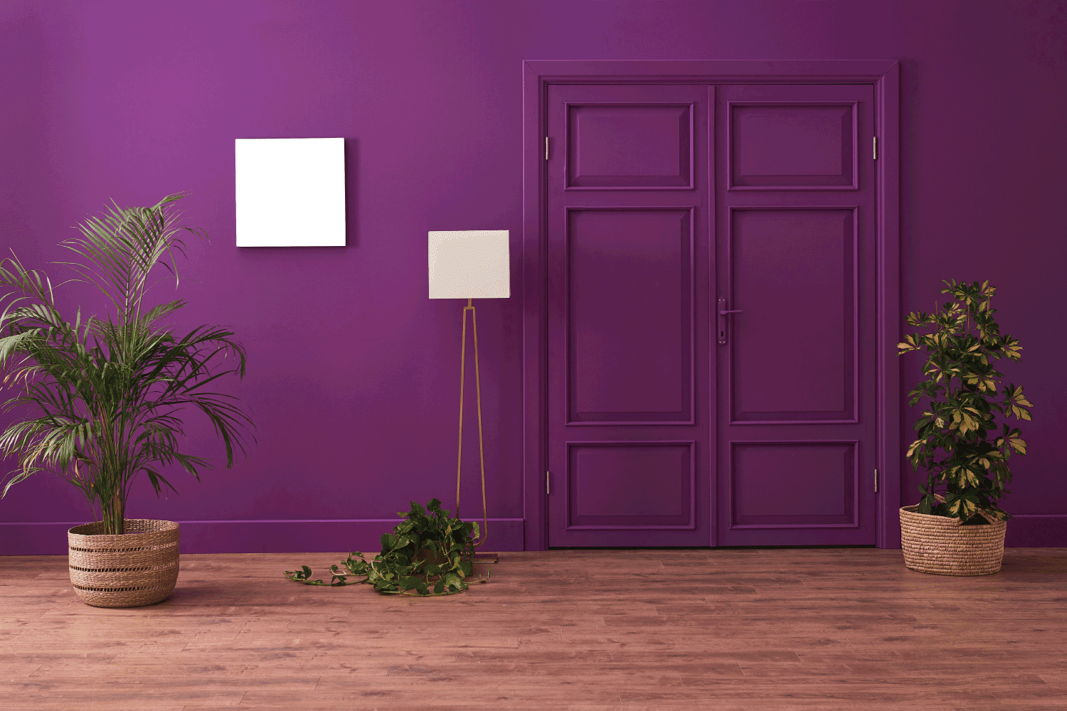 Purple living room with classic purple door and wicker vase of plant. Brown parquet detail.