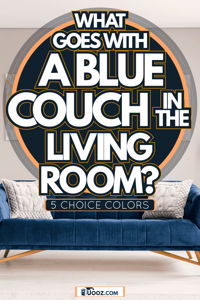 A modern living room interior of a luxurious hotel apartment with a designer couch, What Goes With A Blue Couch In The Living Room? [5 Choice Colors ]