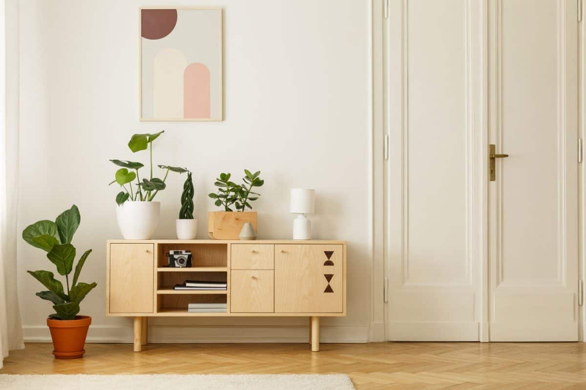 A wooden console table with plants on top an side inside a minimalist room