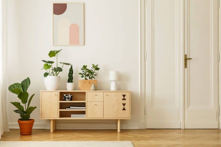 A wooden console table with plants on top an side inside a minimalist room, How Big Should A Mirror Over A Console Table Be?