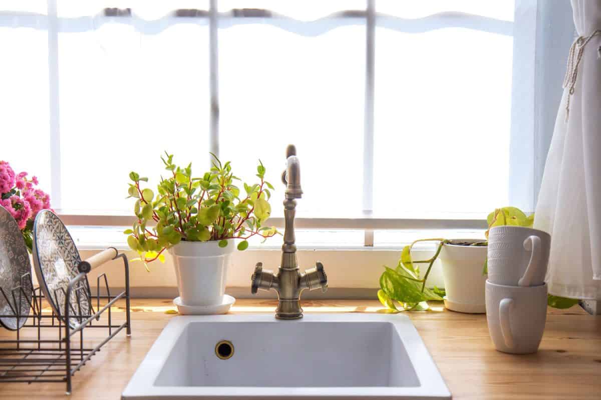 Countertops with plants, dish racks, and windows with white shutters in the kitchen interior. Kitchen sink by the window