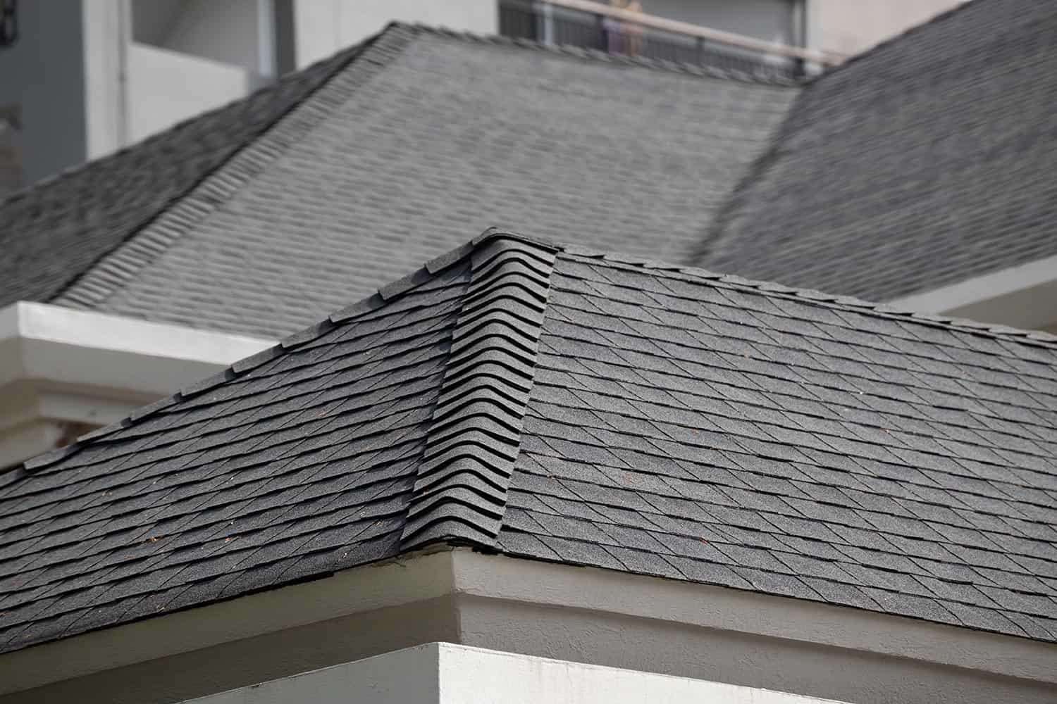 Roof shingle on the roof