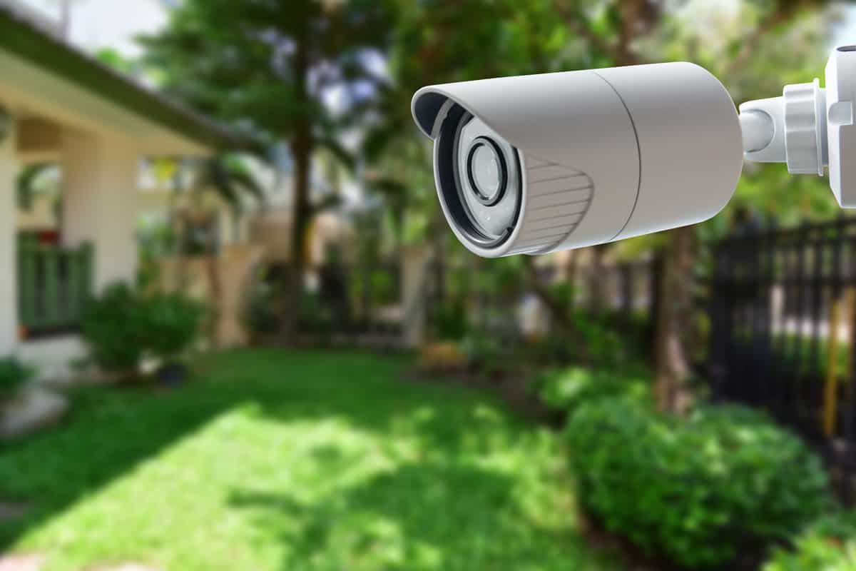 A CCTV pointed in the garden