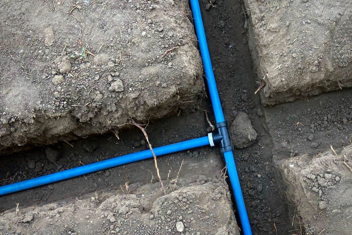 Blue irrigation pipe in trenches connected with a tee fitting