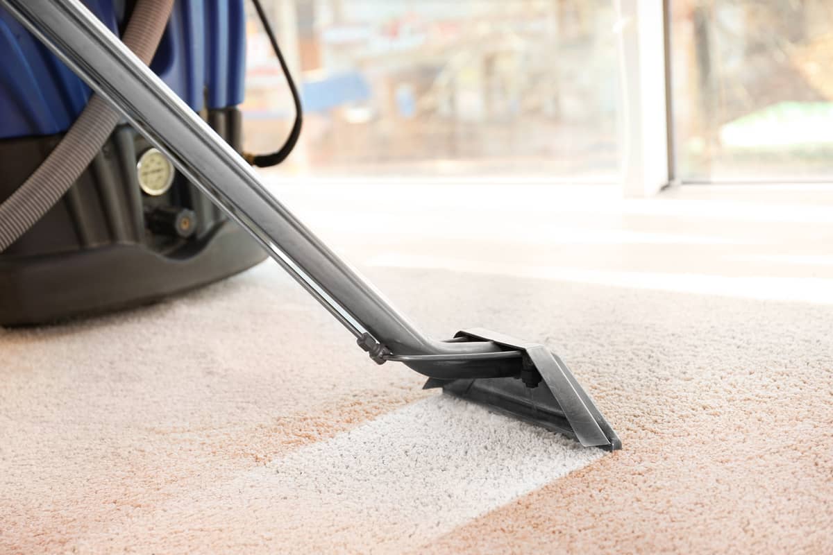 Cleaning the carpet using a steam cleaner