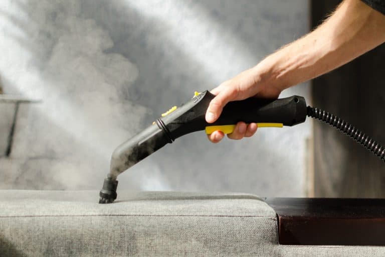 Steam cleaning the couch, How Long Does Steam Take To Kill Bacteria?