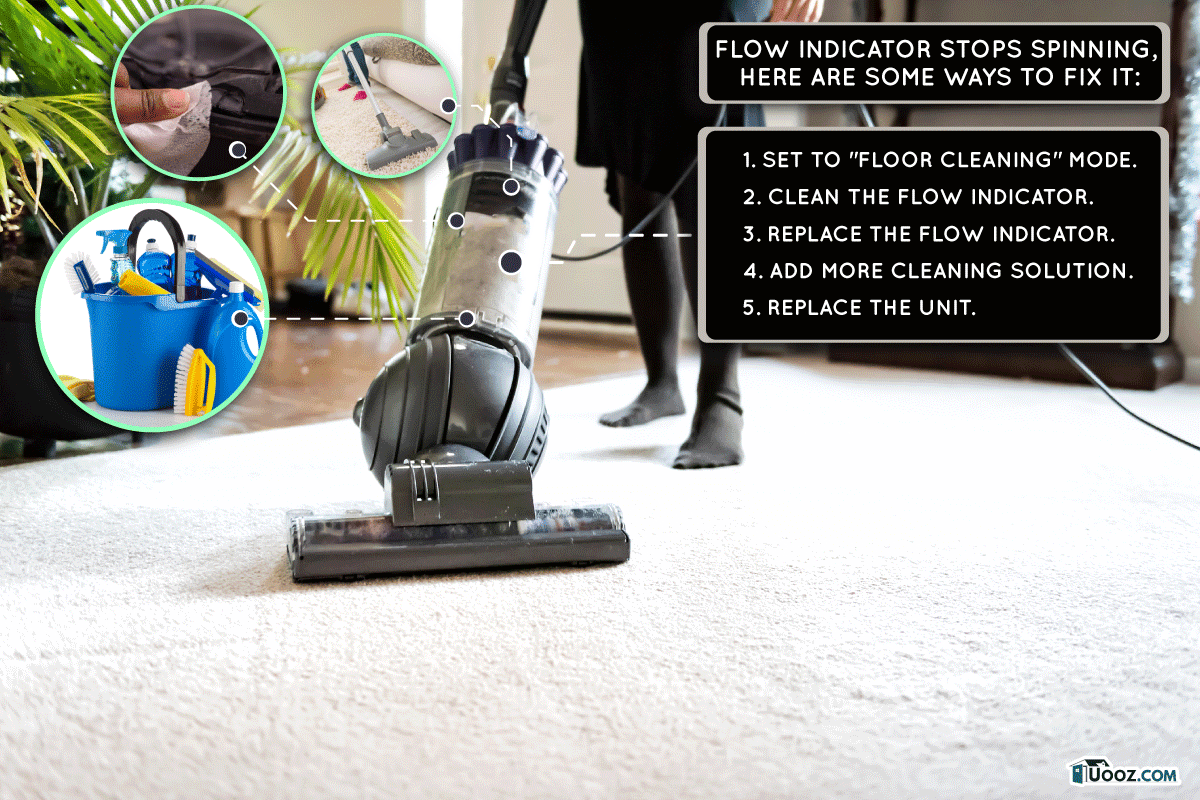woman, female doing cleaning at home with vacuum cleaner showing head, brush on carpet floor, green plant, Bissell Carpet Cleaner: Flow Indicator Not Spinning - What To Do?