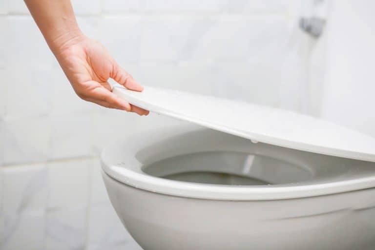 Opening the toilet lid, Dropped Plastic Cap Or Small Item In Toilet? Here's What To Do
