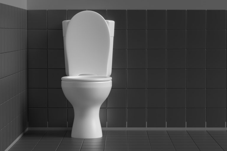 WC toilet bowl white color on black tiles floor and wall background, How To Change A Toilet Seat On A Skirted Toilet?