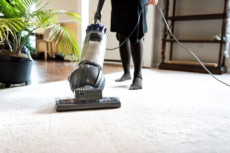 woman, female doing cleaning at home with vacuum cleaner showing head, brush on carpet floor, green plant, Bissell Carpet Cleaner: Flow Indicator Not Spinning - What To Do?
