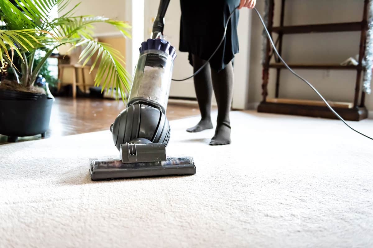 woman, female doing cleaning at home with vacuum cleaner showing head, brush on carpet floor, green plant