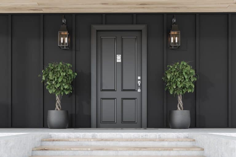 Stylish black front door of modern house with black walls, door mat, trees in pots, stairs and lamps, Should Your Front And Back Doors Match?