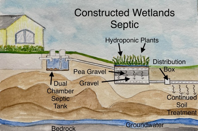 Constructed Wetlands Septic