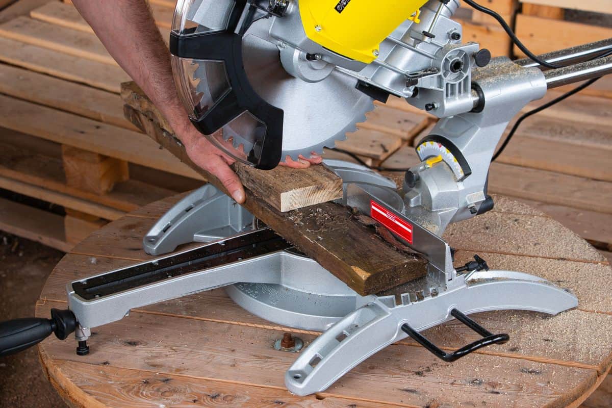 Miter saw for cutting a tree on a wooden table