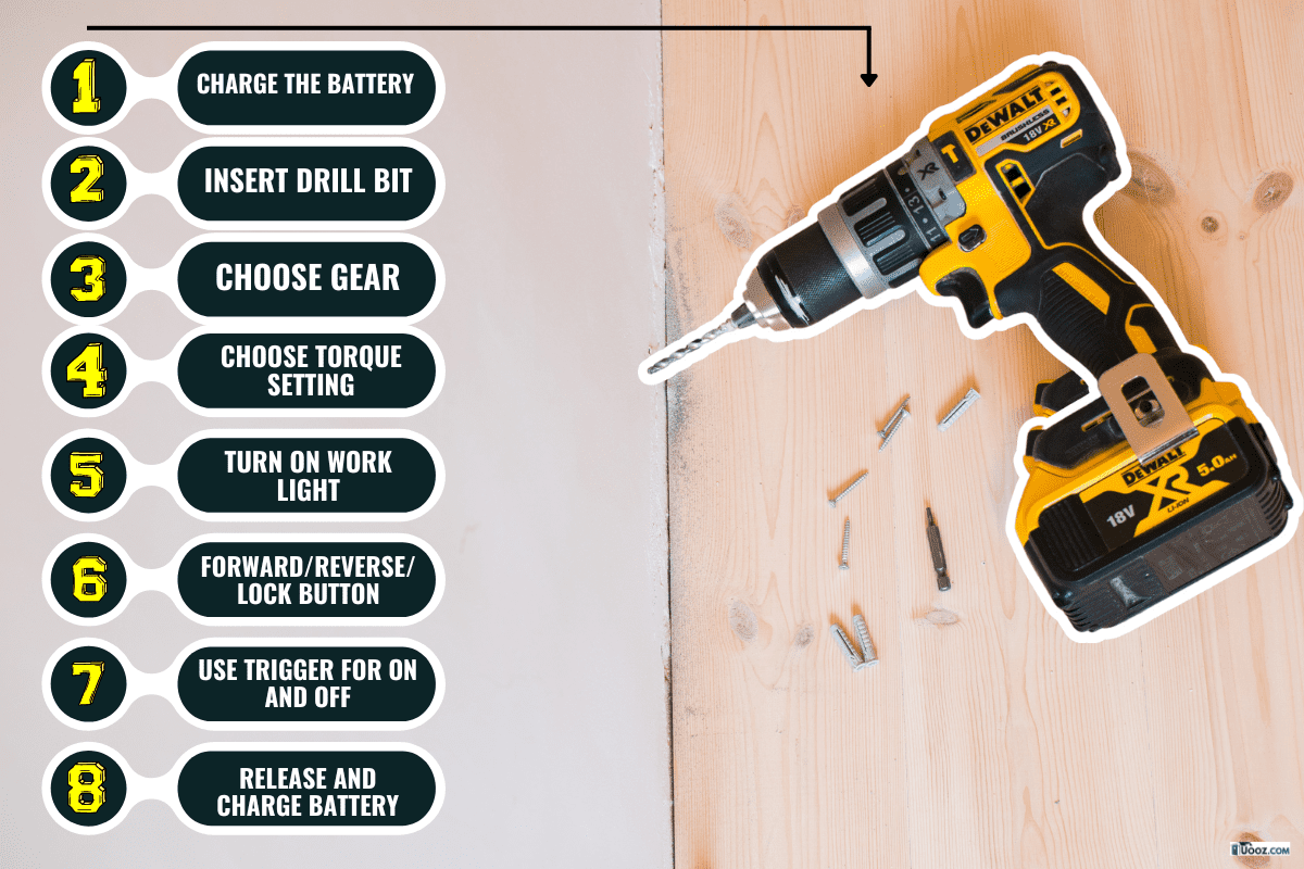 Drilling a hole in a concrete wall using a cordless Dewalt drill, How To Use A DeWalt Drill [Step-By-Step Guide]