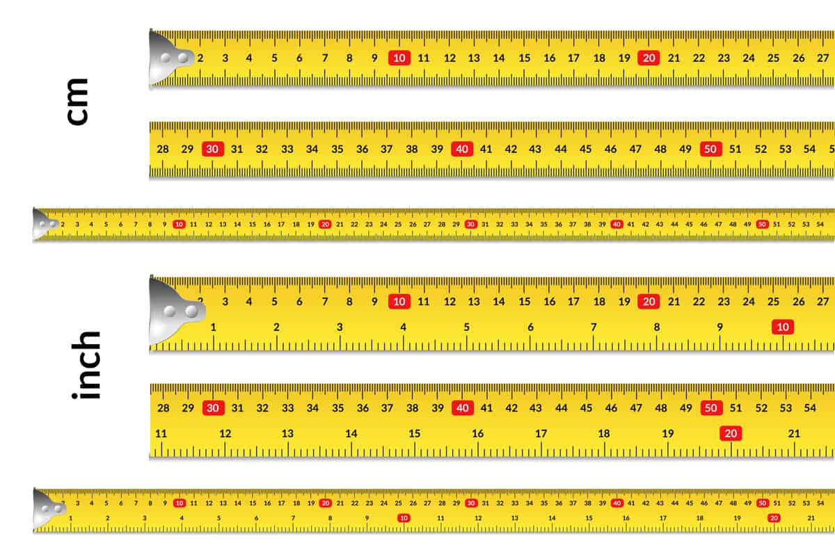 Measuring tape row set in centimeters and inch