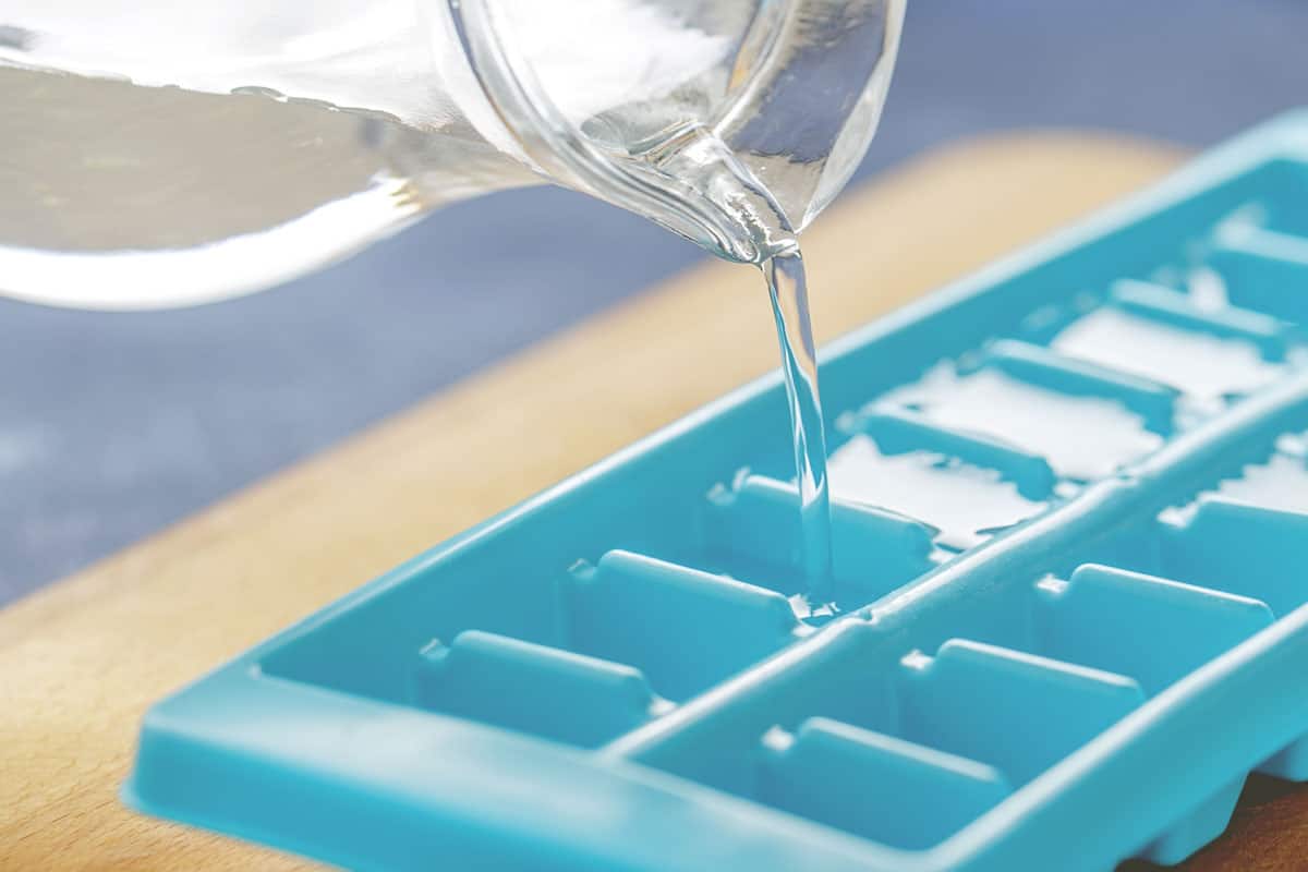 Pouring water into ice cube tray on the kitchen table